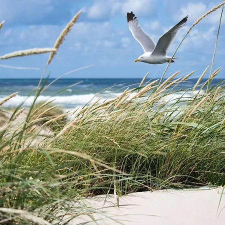 In Belgium Near Scenic Parks *